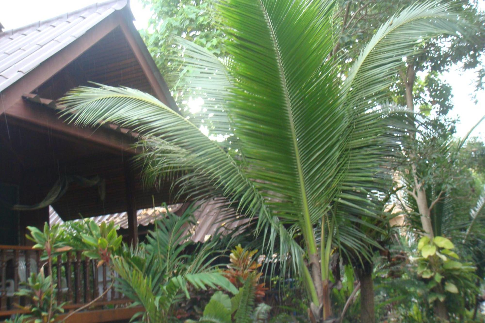 Silver Sands Resort - Ko Tao Bagian luar foto